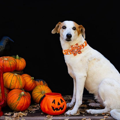 Elegant little tail Halloween Dog Collar