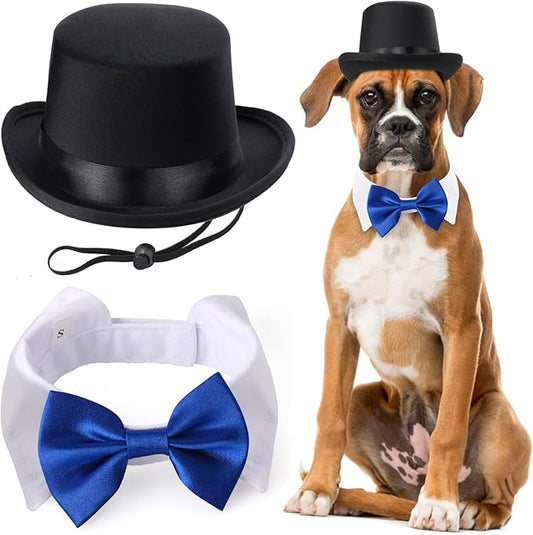 Yewong 2 Pieces Pet Formal Accessories Set - Pet Top Hat with Pet Formal Necktie/Bowtie Birthday Party Gradation Halloween Costumes Accessories for Dog Cat (Blue Bowtie Collar) One Size