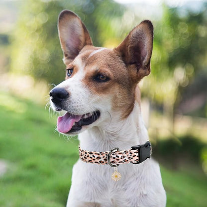 Leopard Patterns Dog Collar with Pendant
