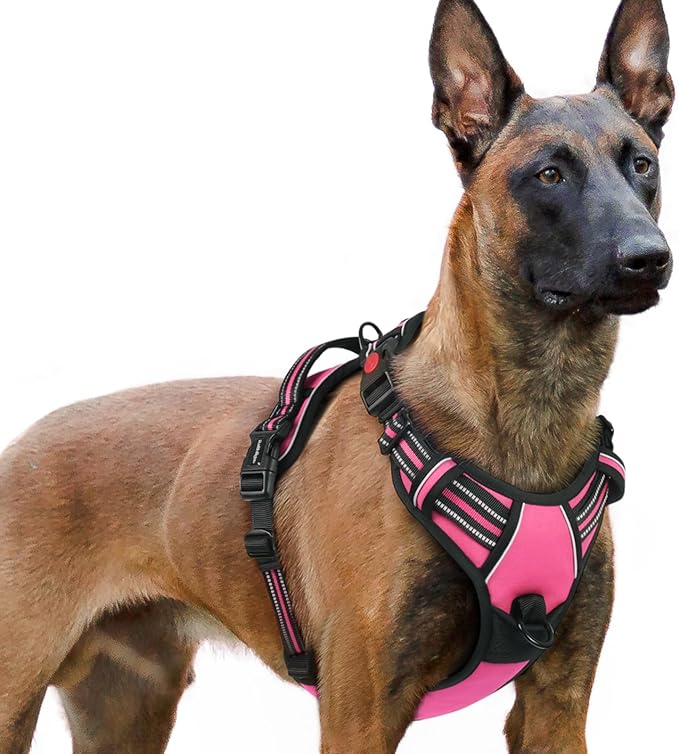 rabbitgoo Dog Harness for Large, No Pull Pet Harness with 3 Buckles, Adjustable Soft Padded Dog Vest with Instant Control Handle, Easy Walking Reflective Pet Vest for Extra Large Dogs, Rose Pink, XL