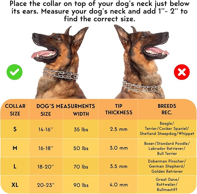 Prong Collar for Dogs