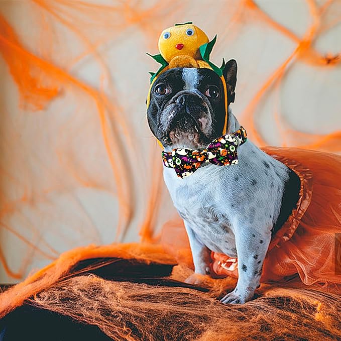 Elegant little tail Fall Dog Collar