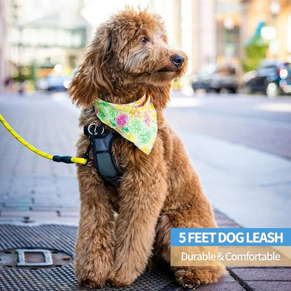 BAAPET 2/4/5/6 FT Dog Leash with Comfortable Padded Handle and Highly Reflective Threads for Small Medium and Large Dogs (5FT-1/2''