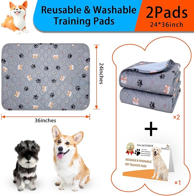 Washable Pee Pads for Dogs 2Pack 24''x36''