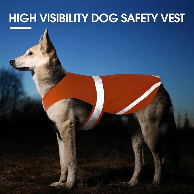 Kuoser Reflective Dog Vest, High Visibility Dog Safety Vest for Medium Large Dogs, Pet Reflective Jacket Orange Dog Vest to Keep Your Dog in Sight and Safe from Hunting, Training, Cars Accidents, M