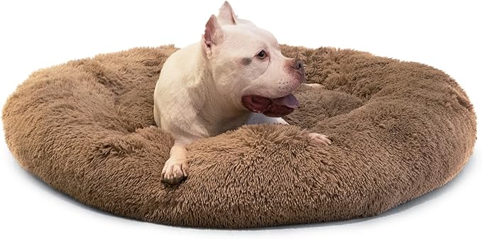 Jumbo Dog Beds for Extra Large Dogs 150 lbs
