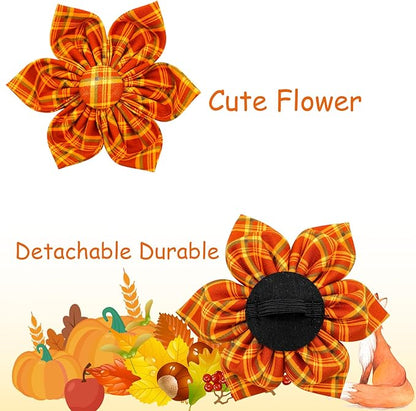 Elegant little tail Fall Dog Collar