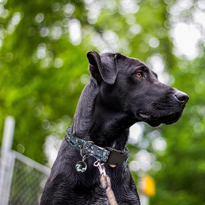 Leopard Patterns Dog Collar with Pendant