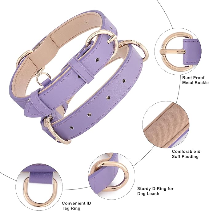 WHIPPY Soft Padded Leather Dog Collar for Small Medium Large Dogs Heavy Duty Dog Collar with Adjustable Rust-Proof Metal Hardware