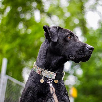 Flower Patterns Dog Collar with Accessories