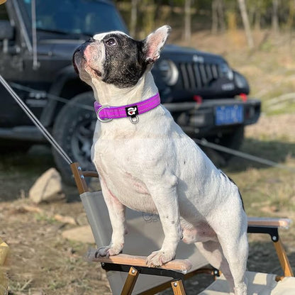 azuza Reflective Dog Collar