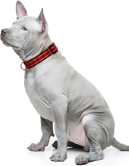 Reflective Dog Collar