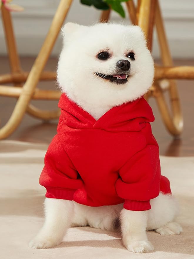 QWINEE Cartoon Bear Print Dog Hoodie Dog Sweatshirt