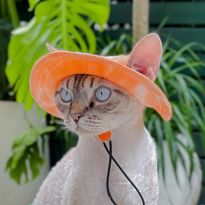 Pet hat with Ear Holes Sunscreen Baseball Cap Suitable for Small and Medium-Sized Dogs Outdoor Climbing hat in Summer Pet Products (Medium