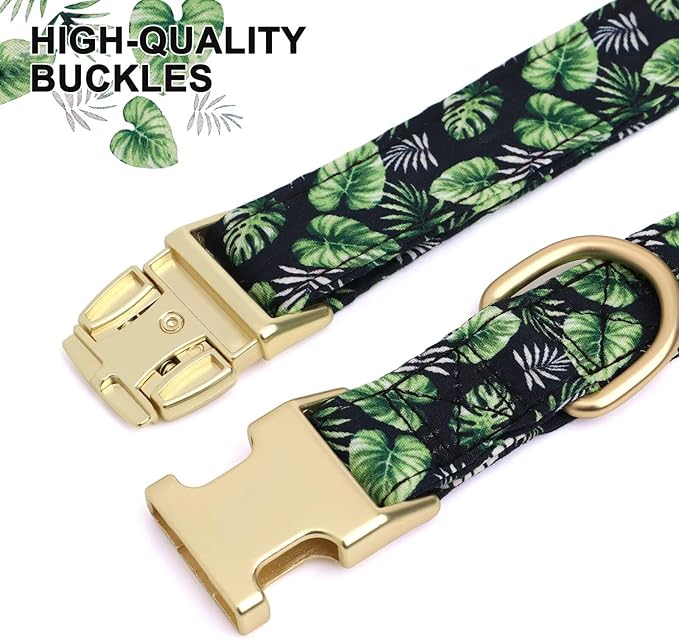 Beirui Cute Girl Dog Collars for Female Dogs