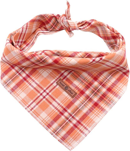 Lionet Paws Fall Dog Bandana Halloween Thanksgiving Day