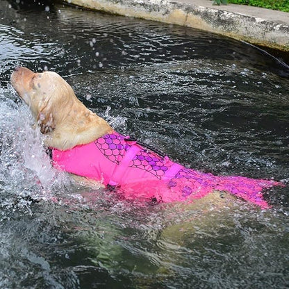 Queenmore Dog Life Jacket Ripstop Shark Dog Safety Vest Adjustable Preserver with High Buoyancy and Durable Rescue Handle for Small