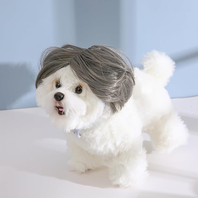 Funny Dog Cat Cosplay Wig, Headwear Apparel Toy, Pet Costumes, Cat Dress up for Halloween, Christmas, Parties, Festivals, Dog Wigs for Small Medium and Large Dogs (Dark Grey)