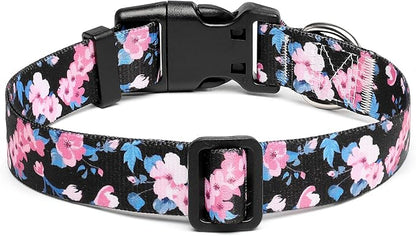 Adjustable Dog Collar with Patterns