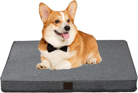 DaysU Dog Bed for Small Dogs 20 lbs, 30x20x3in