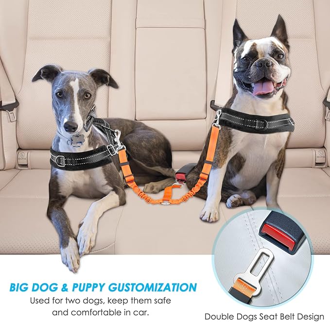 SlowTon Dog Seat Belt, Double Dog Seatbelt Adjustable Vehicle Safety Leash with Elastic Bungee Buffer, Reflective No Tangle Y Shape Two Dog Harness Seat Belt Splitter for Pets Car Trip (Orange, M)