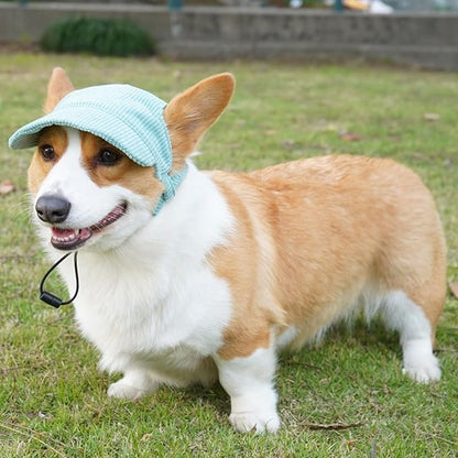 Dog Baseball Cap