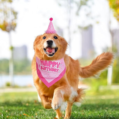 Dog Birthday Party Bandana Hat Set Dog Birthday