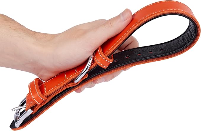 Soft Leather Dog Collar