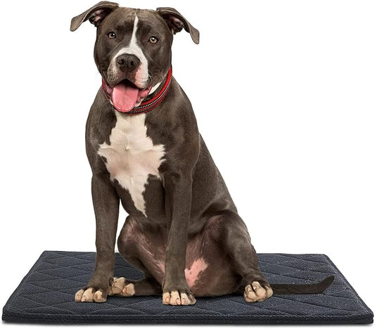 Chew Proof Dog Crate Dog Bed Pad Mat for Tough Dog
