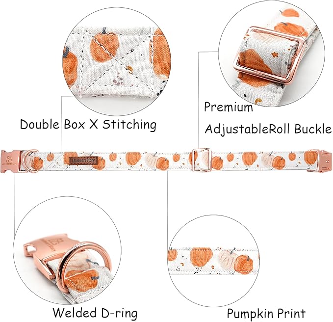 Lionheart glory Dog Collar Halloween Collar Dog Fall Dog Collars