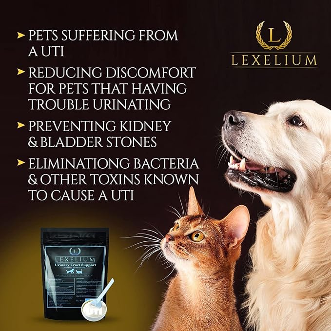 Organic Urinary Tract Infection UTI Support for Dogs and Cats - Fortified with Cranberry, D Mannose, and Curcumin - Optimizes Kidney & Bladder Function - Can Prevent Kidney/Bladder Stones - 200 G