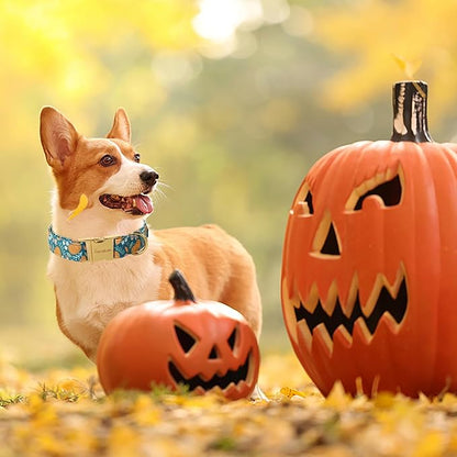 Unique style paws Dog Collar Metal Buckle Collar