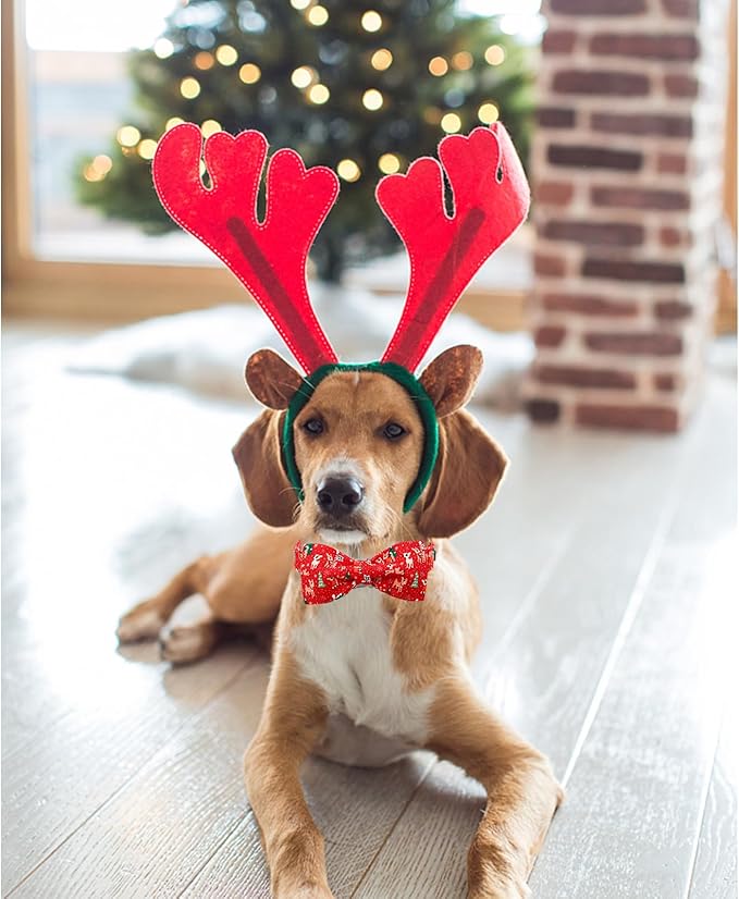 Lionheart glory Christmas Deer Dog Collar, Red Dog Bow Collar Adjustable Soft and Comfortable Bowtie Collars for Medium Dogs Girl or Boy Pet Gift Fall Collar Dog Bow