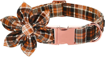 Lionet Paws Dog Collar with Flower 8-12in