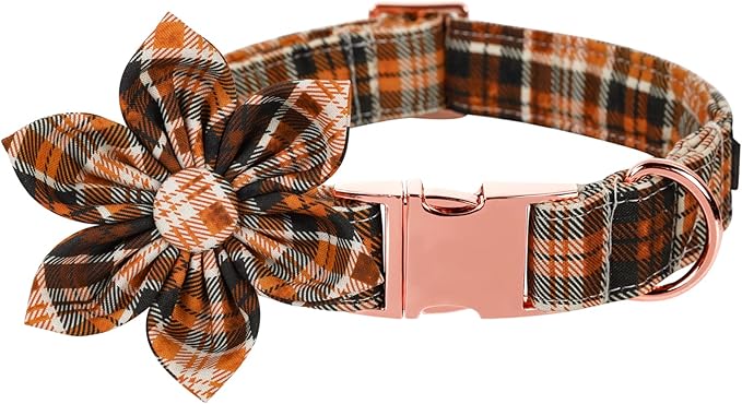 Lionet Paws Dog Collar with Flower 16-26in