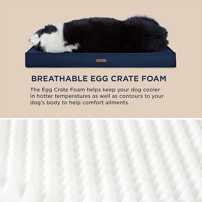 Lesure Outdoor Waterproof Dog Beds for Large Dogs