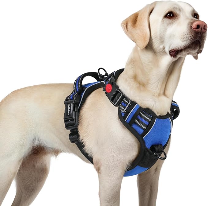 rabbitgoo Dog Harness for Large, No Pull Pet Harness with 3 Buckles, Adjustable Soft Padded Dog Vest with Instant Control Handle, Easy Walking Reflective Pet Vest for Large Dogs, Blue, L