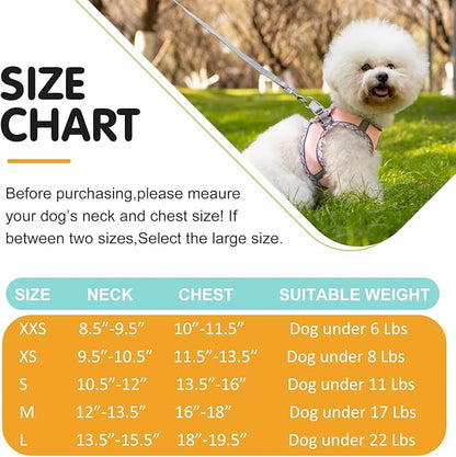 Dog Harness and Leash Set, No Pull Pet Harness for Small Dogs Easy Walking,Soft Breathable Small Dog Harness,Adjustable Reflective Step in Vest Harness for Puppy,Kitten, Cats