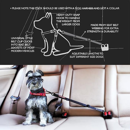 EzyDog CLICK - Best Dog Seat Belt Car Harness Attachment for Dogs - Adjustable Dog Restraints Seatbelts for Cars (17.5in - 26in)