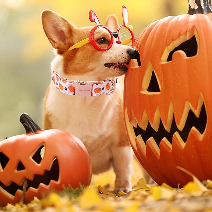 Unique style paws Dog Collar Metal Buckle Collar