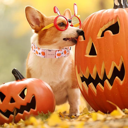 Unique style paws Dog Collar Metal Buckle Collar