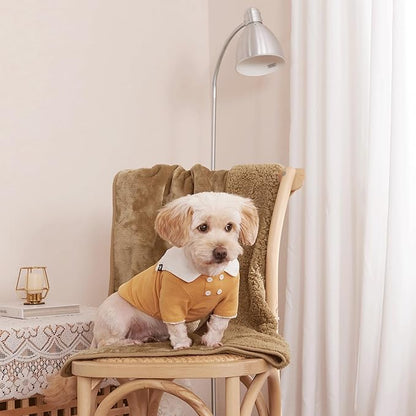 NICETOWN Waterproof Dog Blanket Sherpa Fleece Present(24" x 32", Taupe)