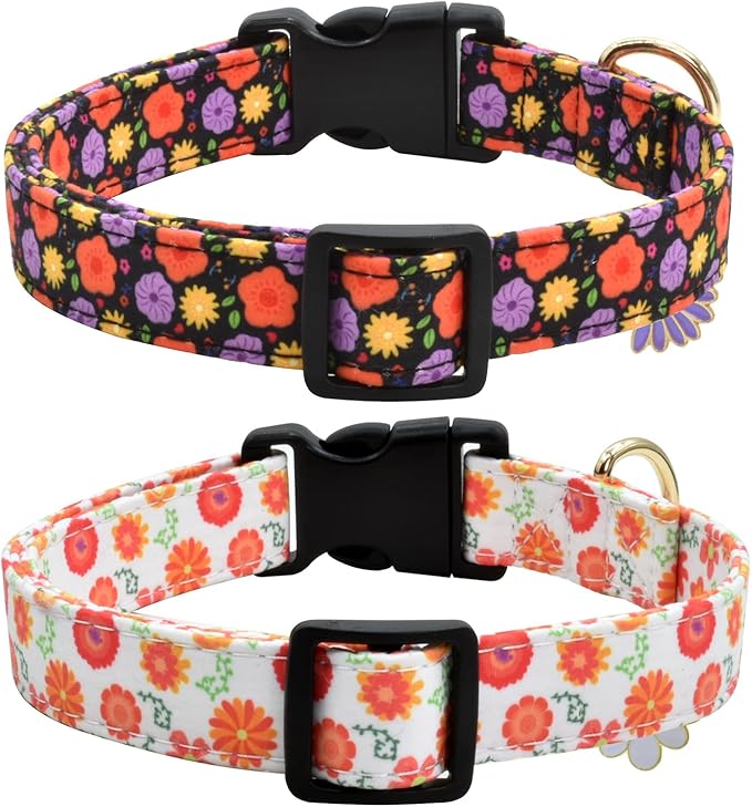 Flower Patterns Dog Collar with Accessories
