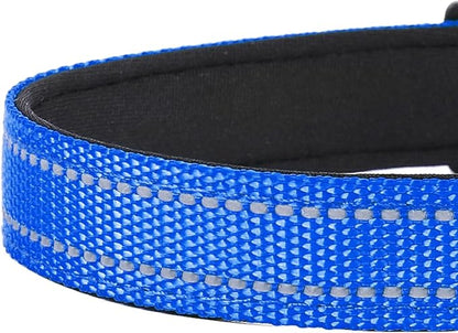 Reflective Dog Collar