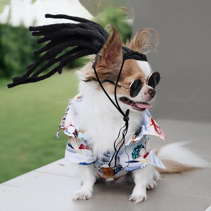 Pet Rockstar Wig