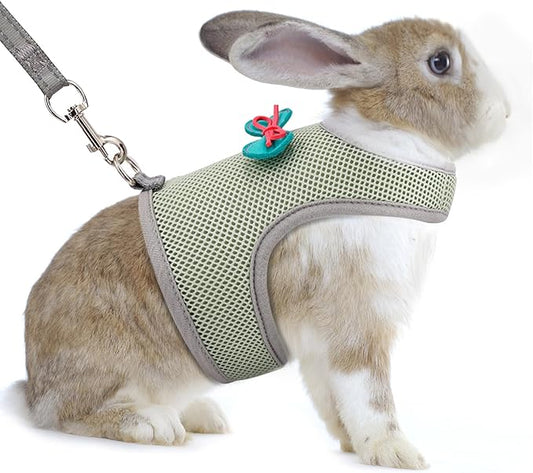 AIITLE Rabbit Harness and Leash Set with Cute Bow, Bunny Leash Vest Mesh Eescape Proof Walking Training for Small Animal Pets Kitten Puppy Squirrel Ferret Pig Bunny Olive Green S