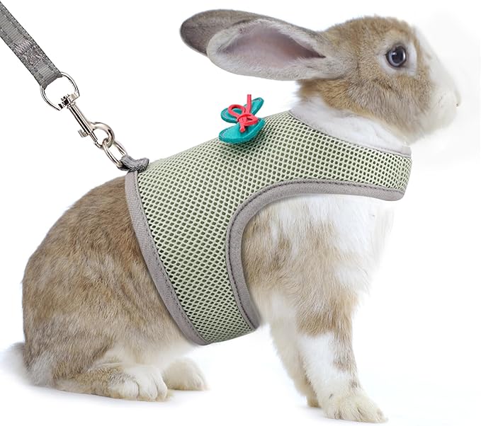 AIITLE Bunny Harness and Leash Set, Soft Breathable Mesh Vest Harness with Cute Bow for Rabbits Kitten Ferret Small Pig Puppy Walking Supplies Olive Green M