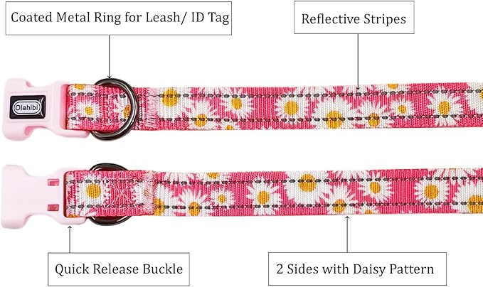 Floral Pattern Dog Collar