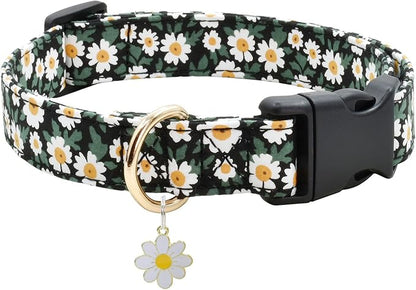 Flower Patterns Dog Collar with Accessories