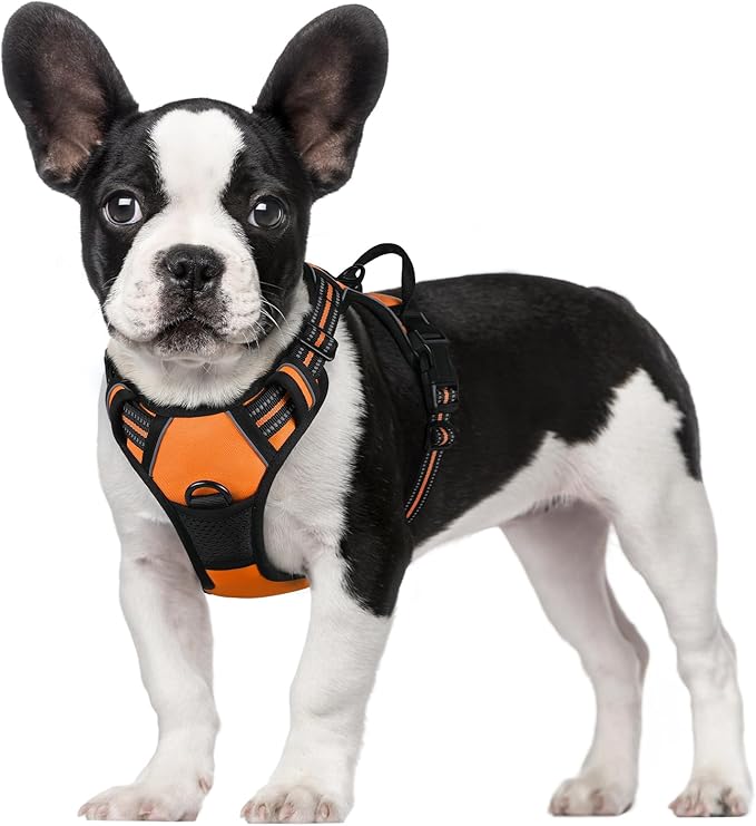 rabbitgoo Dog Harness, No-Pull Pet Harness with 2 Leash Clips, Adjustable Soft Padded Dog Vest, Reflective No-Choke Pet Oxford Vest with Easy Control Handle for Small Dogs,Orange,S